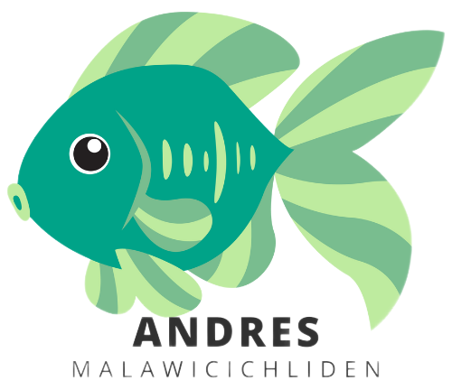 Andres Malawicichliden und L Welse - Hörselberg-Hainich